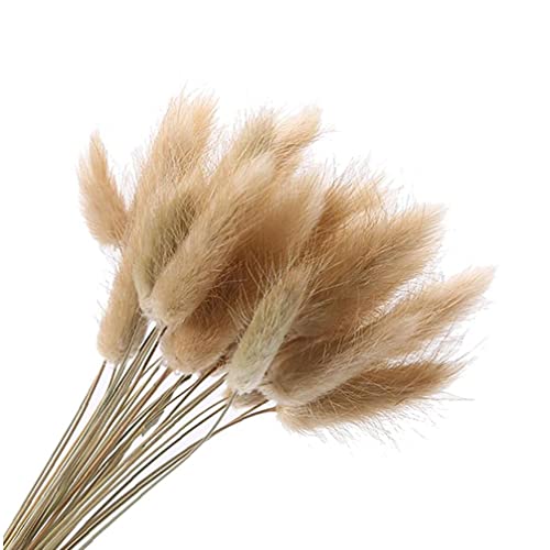 20 Stücke Natürliche Getrocknete Kaninchen Schwanz Gras Blumensträuße Ewige Getrocknete Gras Blumenstrauß Getrocknete Pampas Gras Arrangements Hochzeit Wohnkultur von Froiny