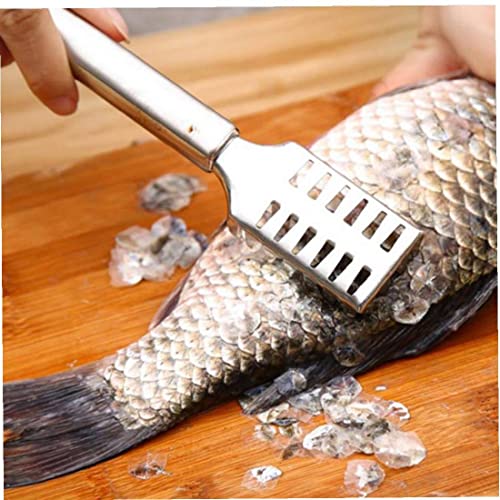 Froiny , Fischwaage Remover Descaler Tool Fischschäler Rasierer Schaberreiniger Zum Entfernen Von Peeling von Froiny