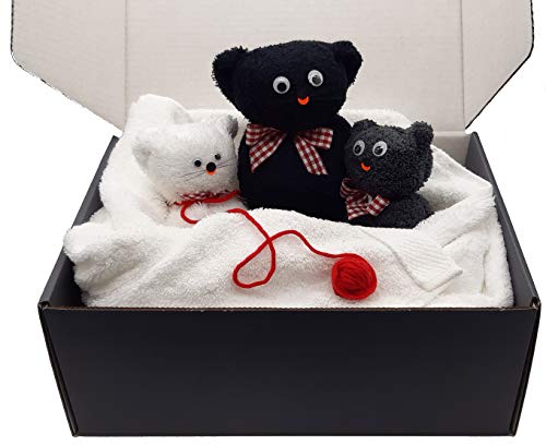 Frotteebox Geschenk Box Katzen Familie 5-teilig mit DREI Kätzchen im Nest in Handarbeit geformt aus 2X Waschhandschuh und 1x Gästetuch mit Handtuch und Duschtuch von Frotteebox