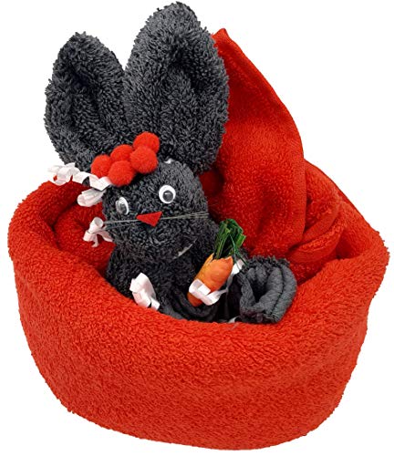 Frotteebox Geschenk Set Schwarzwald Hase im Nest in Handarbeit geformt aus 1x Handtuch rot (100x50cm) und 1x Waschhandschuh grau von Frotteebox
