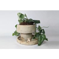 Niedlicher Keramiktopf, Einzigartiger Handgefertigter Pflanzentopf Und Wasserschale, Steinzeug-Topf Teller, Statement-Blumentopf, Niedlicher von FrozenPeaCrafts