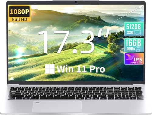 Fsjun Win 11 Pro & Office 2019 17.3 Zoll Laptop, Celeron N5095 bis 2,9 GHz, 16GB RAM, 512GB SSD, FHD IPS, Fingerabdruck, Beleuchtete Tastatur, Mini HDMI, 3× USB 3.0 (Silber, 16+512GB) von Fsjun
