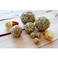 Moosball-Schüsselfüller, Getrocknete Blumen-Dekor Moosball-Schüsselfüller, Getrocknete Blumen-Dekor von SARMdsgn