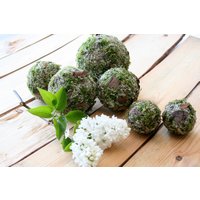 Mooskugeln 6Er Set Rustikale Wald Ornamente, Vasenfüller von SARMdsgn