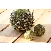 Mooskugeln Weidenkätzchen Schale Vase Korbfüller 3 - Mooskugeln - Weidenkätzchen-Moos Hochzeit-Natürliche Home Tischdekoration-Natur Frühling Dekor von FuFlunsandWoxy