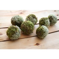 Rustikale Moos Balls Natürliche Grüne Rentier Ornamente, 7Er Set von FuFlunsandWoxy