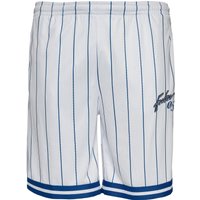 Fubu Shorts "Fubu Herren FM232-013-1 FUBU Retro Pinstripe Shorts", (1 tlg.) von Fubu