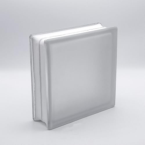 Basic Glasbaustein Vollsicht klar einseitig satiniert 24x24x8 cm - 4 Stück von Fuchs Design
