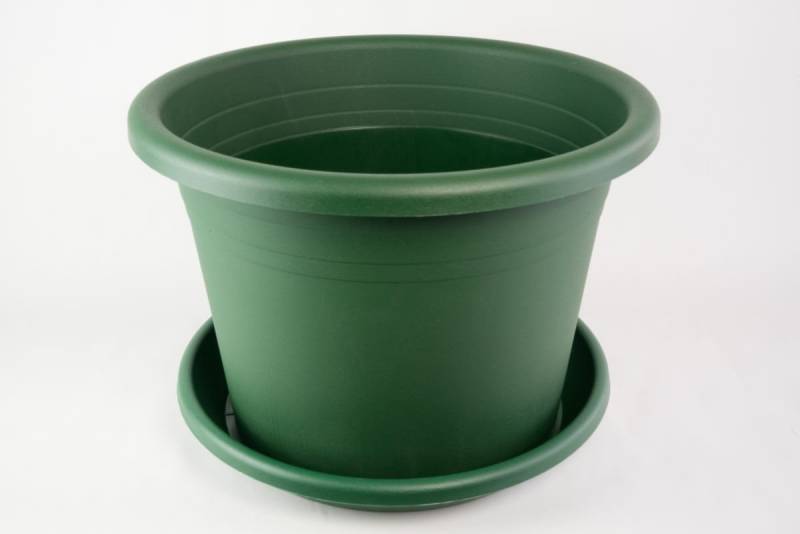 Fuchs Versand 24/7 Blumentopf Blumentopf Cylindro mit Untersetzer in versch. Farben und Größen von Fuchs Versand 24/7