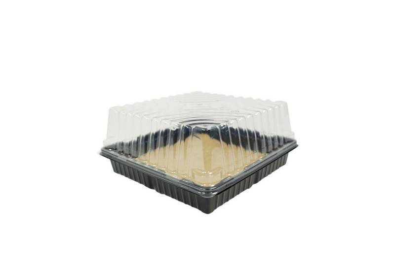 Fuchs Versand 24/7 Übertopf Anzuchtschale Set 30 x 30cm mit Haube und Jutematte von Fuchs Versand 24/7