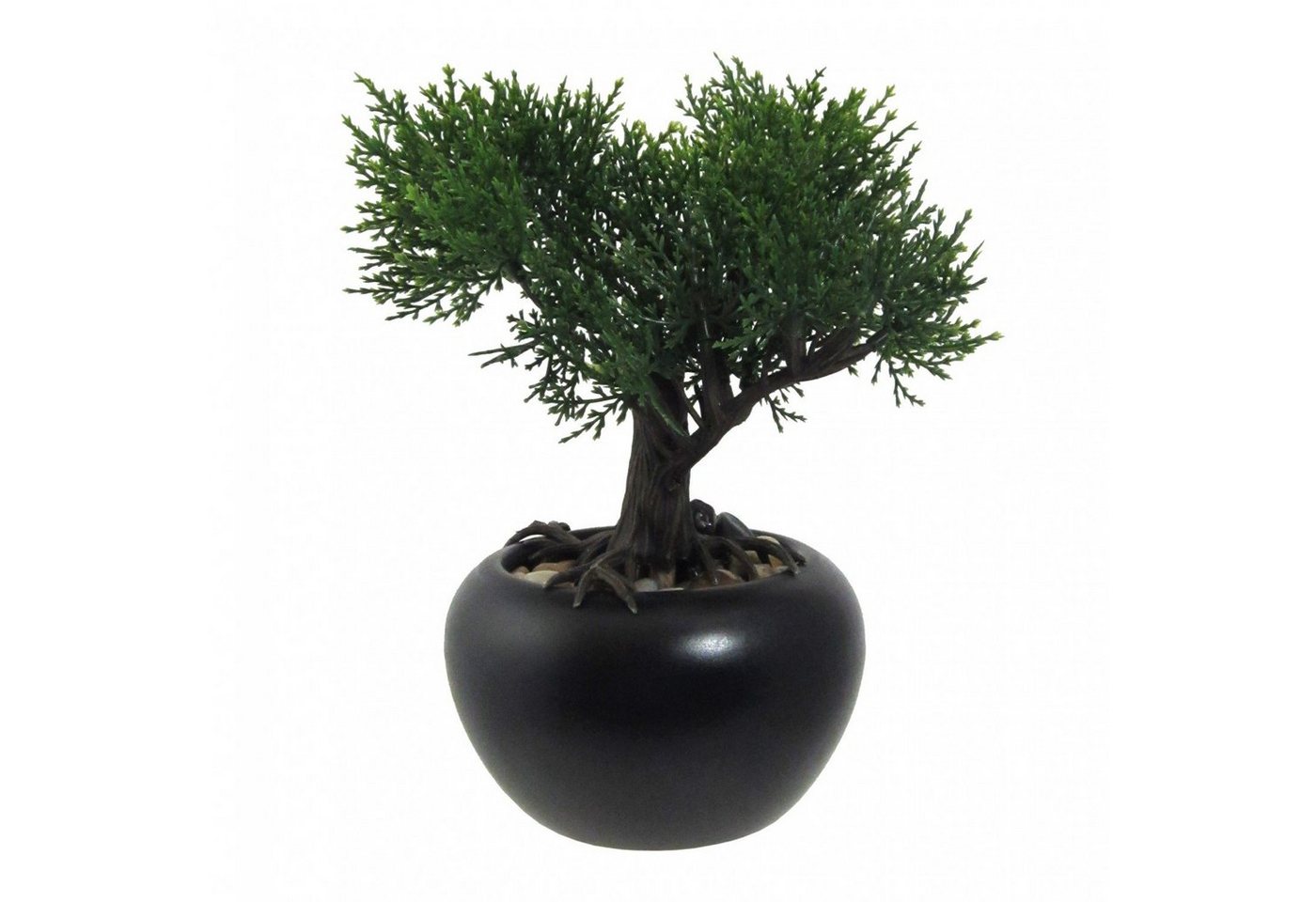 Kunstbonsai Bonsai Zeder" Kunstpflanze 19 cm in schwarzem Keramiktopf mit Kies, Fuchs Versand 24/7" von Fuchs Versand 24/7