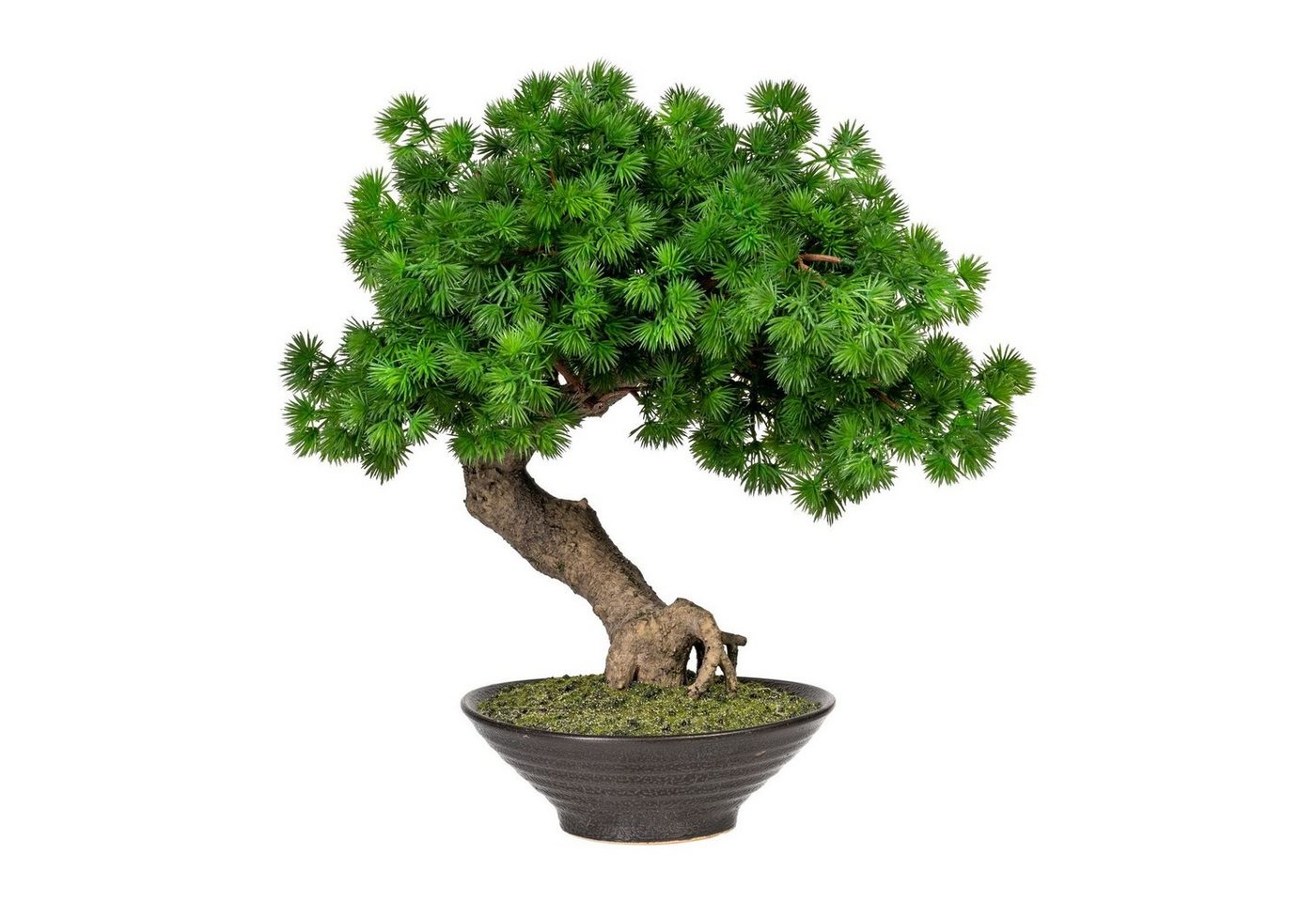 Kunstbonsai Künstlicher Bonsai Lärche ca 37 cm in Keramikschale, Fuchs Versand 24/7 von Fuchs Versand 24/7