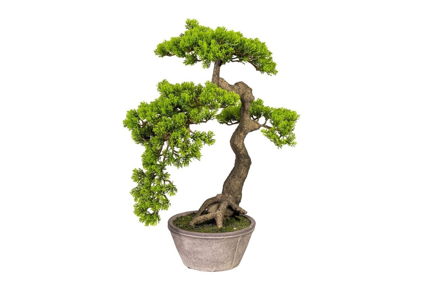 Kunstbonsai Künstlicher Bonsai Zeder Han-Kengai ca 52 cm in Zementschale, Fuchs Versand 24/7 von Fuchs Versand 24/7