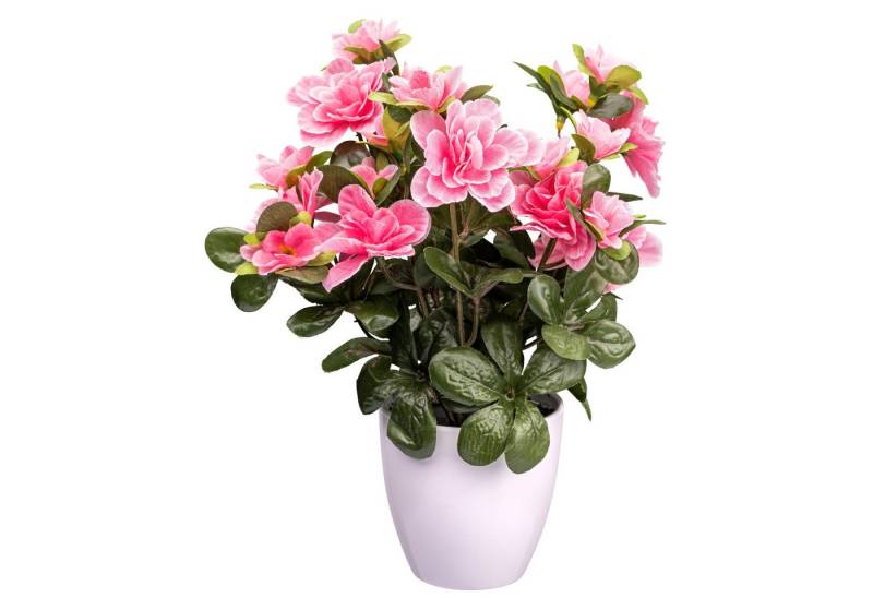 Kunstpflanze 2er Set Azalee 24 Blüten, rosa, 26cm, im Kunststofftopf 10x9cm, Fuchs Versand 24/7 von Fuchs Versand 24/7