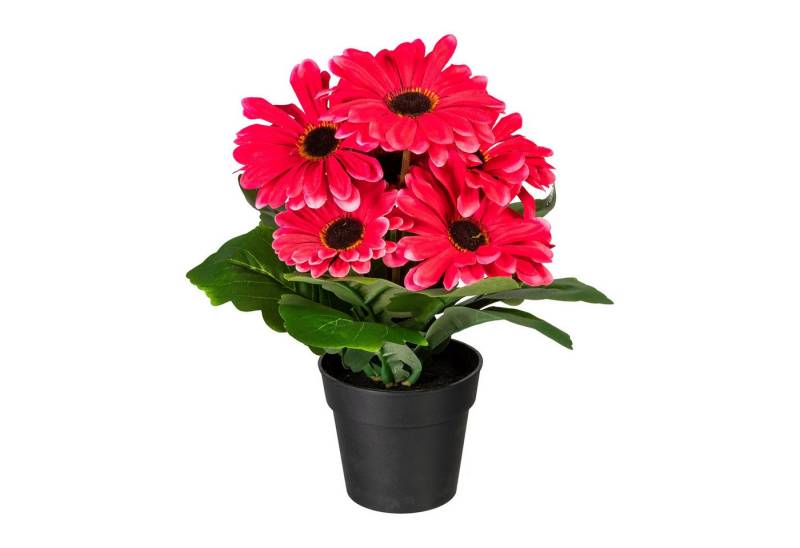 Kunstpflanze 2er Set Gerberabusch 27cm, fuchsia, im Kunststofftopf 10x9cm, Fuchs Versand 24/7 von Fuchs Versand 24/7