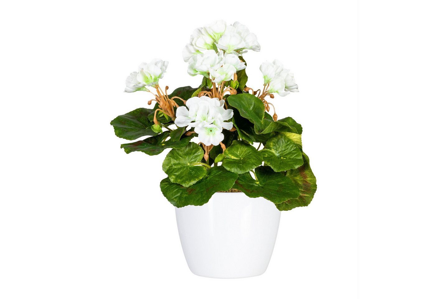 Kunstpflanze 2er Set künstliche Minigeranie im weißen Keramiktopf ca. 24cm UV best., Fuchs Versand 24/7 von Fuchs Versand 24/7