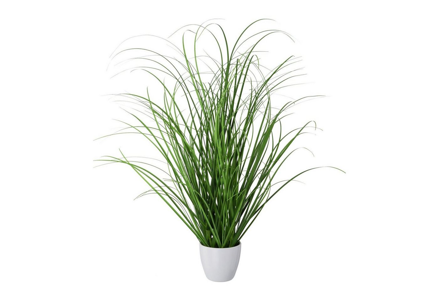 Kunstpflanze 2er Set künstlicher Grasbusch im weißen Kunststofftopf 50 cm, Fuchs Versand 24/7 Kunstpflanze 2er Set künstlicher Grasbusch im weißen Kunststofftopf 50 cm, Fuchs Versand 24/7 von Fuchs Versand 24/7