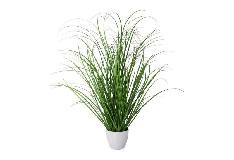 Kunstpflanze 2er Set künstlicher Grasbusch im weißen Kunststofftopf 50 cm, Fuchs Versand 24/7 Kunstpflanze 2er Set künstlicher Grasbusch im weißen Kunststofftopf 50 cm, Fuchs Versand 24/7 von Fuchs Versand 24/7