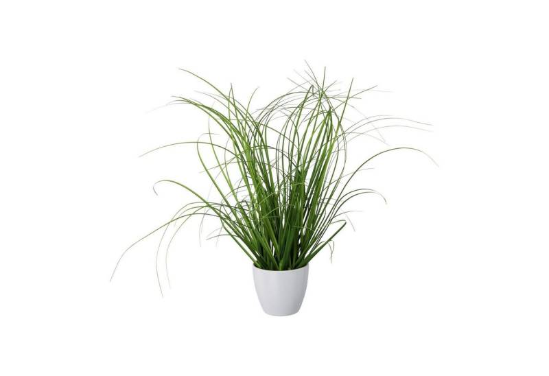 Kunstpflanze 3er Set künstlicher Grasbusch im weißen Kunststofftopf 40 cm, Fuchs Versand 24/7 von Fuchs Versand 24/7