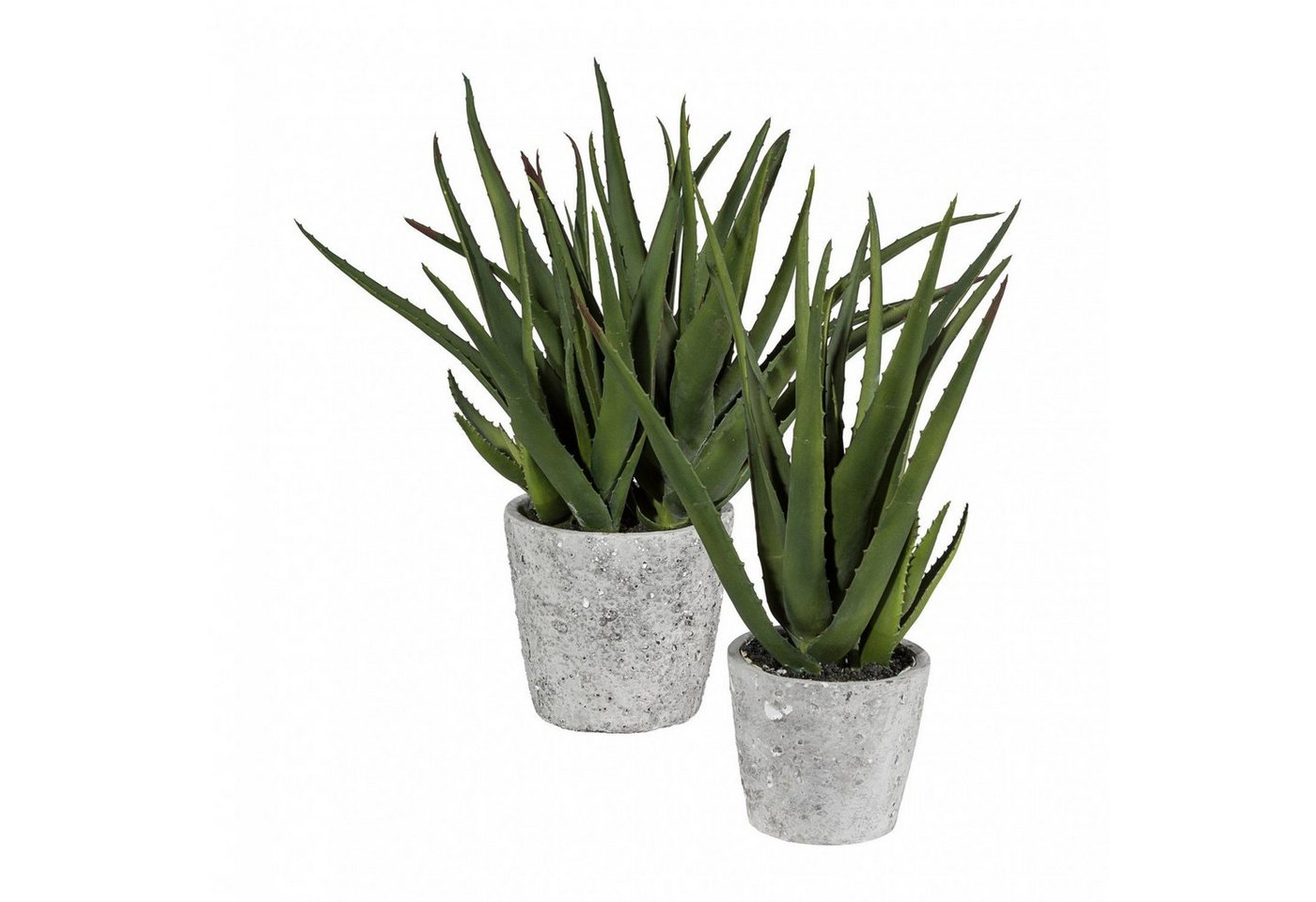 Kunstpflanze Aloe Vera Kunstpflanze 44 cm im Zementtopf, Fuchs Versand 24/7 von Fuchs Versand 24/7