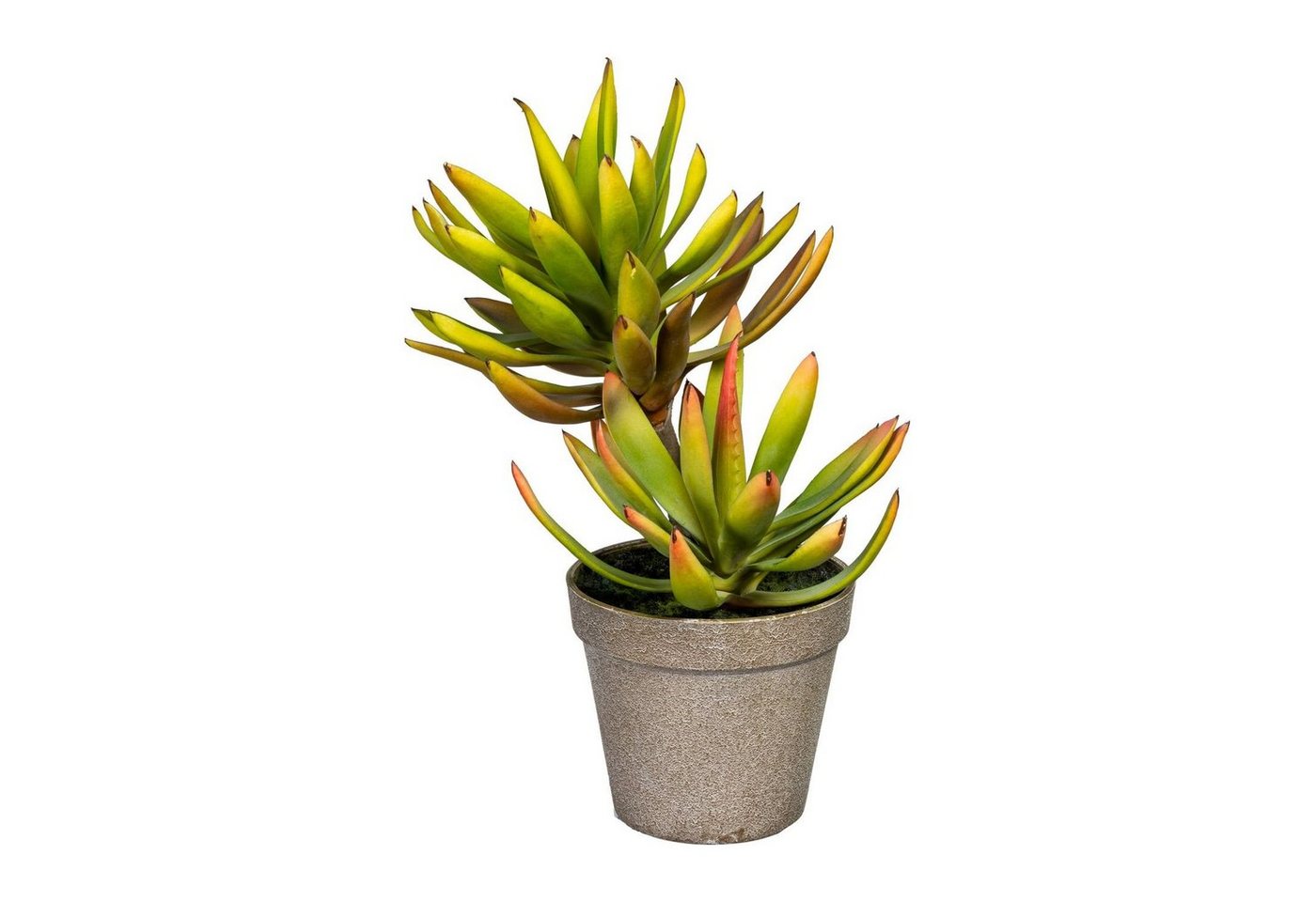 Kunstpflanze Künstliche Aloe 30cm im braunen Kunststofftopf, Fuchs Versand 24/7 von Fuchs Versand 24/7