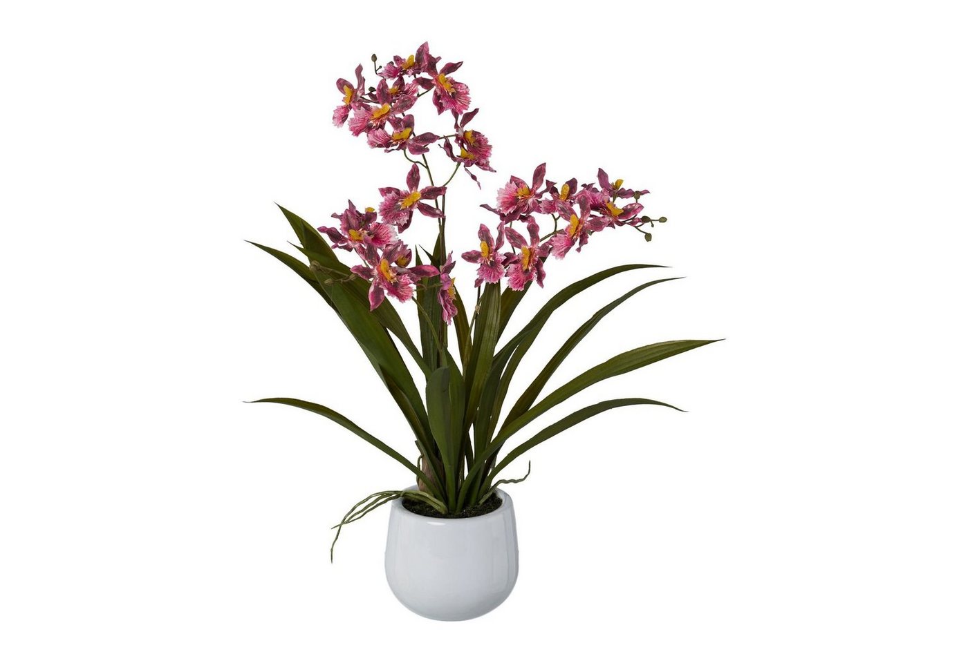 Kunstpflanze Künstliche Gambia-Orchidee im Keramiktopf 50 cm in versch. Farben, Fuchs Versand 24/7 von Fuchs Versand 24/7