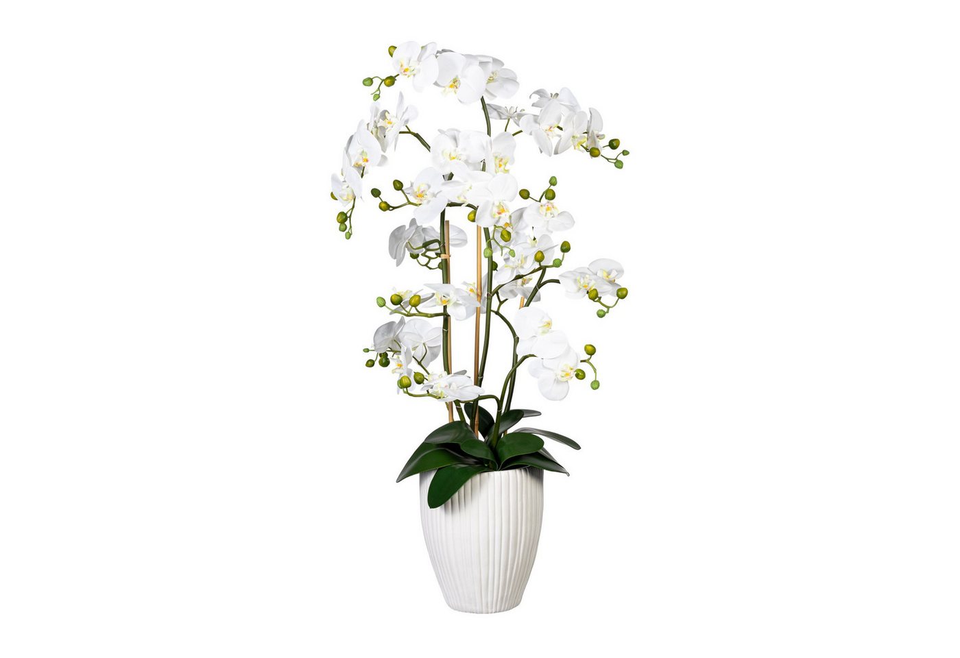 Kunstpflanze Künstliche Orchidee 110cm in weißem Kramiktopf in versch. Farben, Fuchs Versand 24/7 Kunstpflanze Künstliche Orchidee 110cm in weißem Kramiktopf in versch. Farben, Fuchs Versand 24/7 von Fuchs Versand 24/7