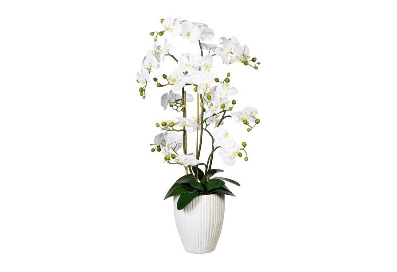 Kunstpflanze Künstliche Orchidee 110cm in weißem Kramiktopf in versch. Farben, Fuchs Versand 24/7 von Fuchs Versand 24/7