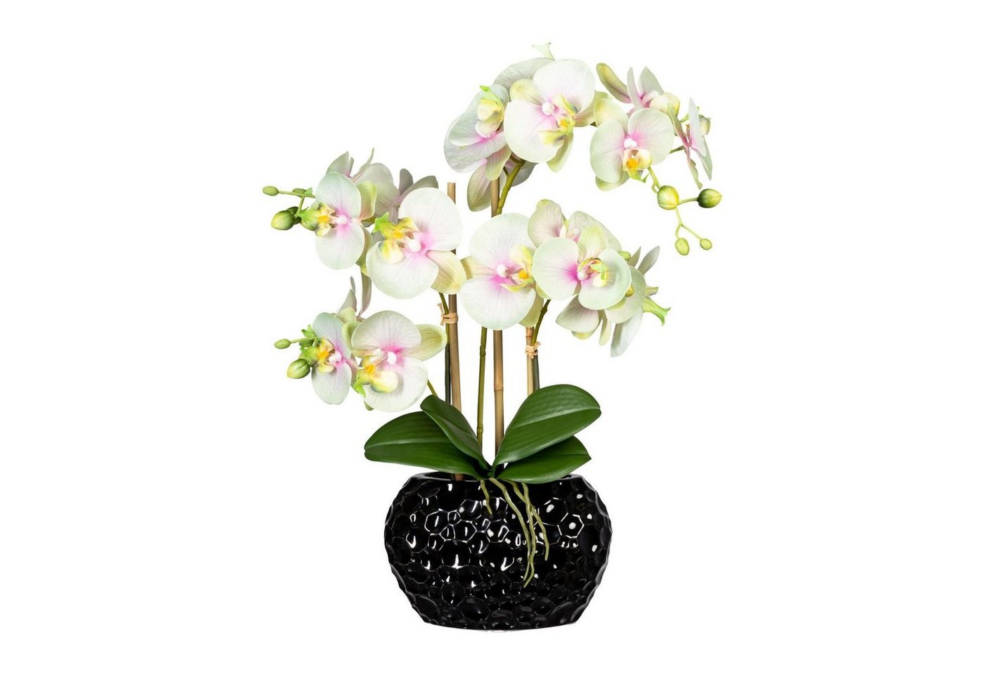 Kunstpflanze Künstliche Orchidee 55cm in schwarzer Keramikvase in versch. Farben, Fuchs Versand 24/7 von Fuchs Versand 24/7