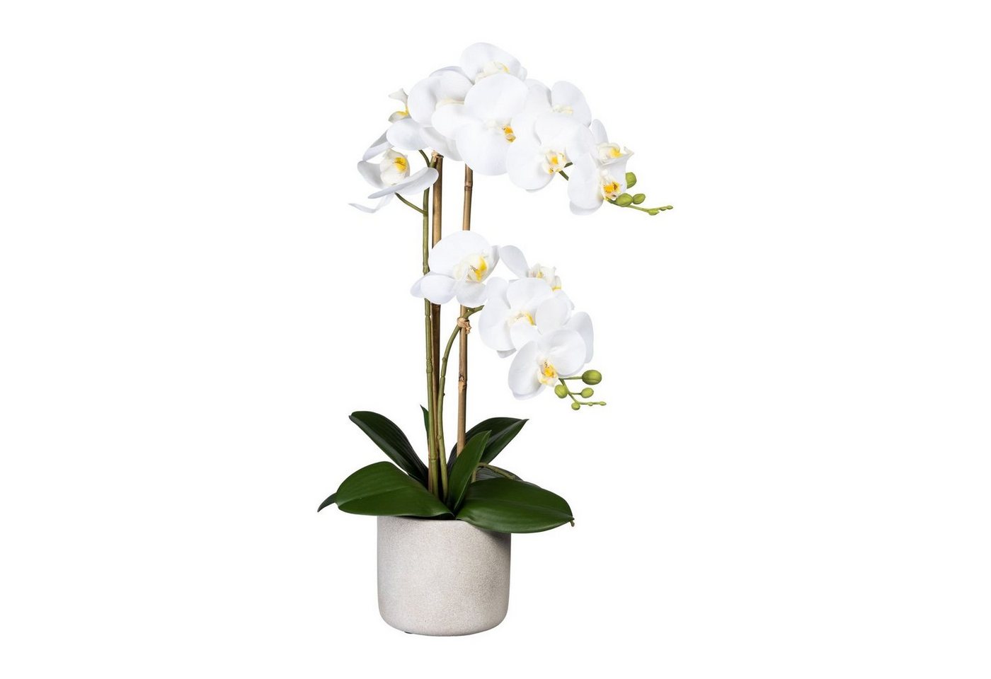 Kunstpflanze Künstliche Orchidee 60cm im Zementtopf in versch. Farben, Fuchs Versand 24/7 von Fuchs Versand 24/7