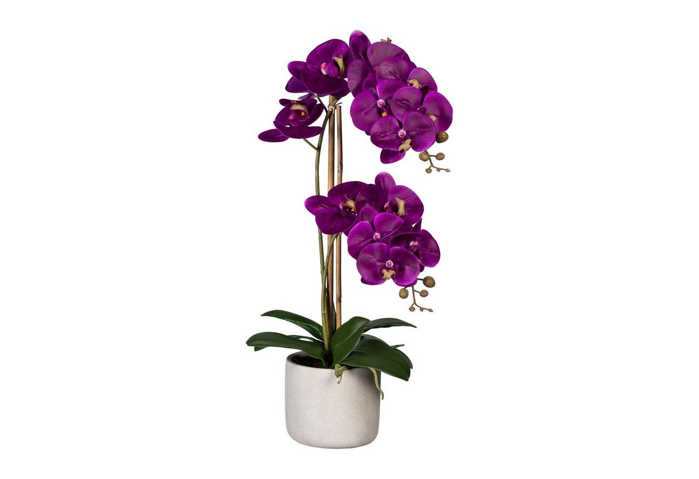 Kunstpflanze Künstliche Orchidee 60cm im Zementtopf in versch. Farben, Fuchs Versand 24/7 von Fuchs Versand 24/7