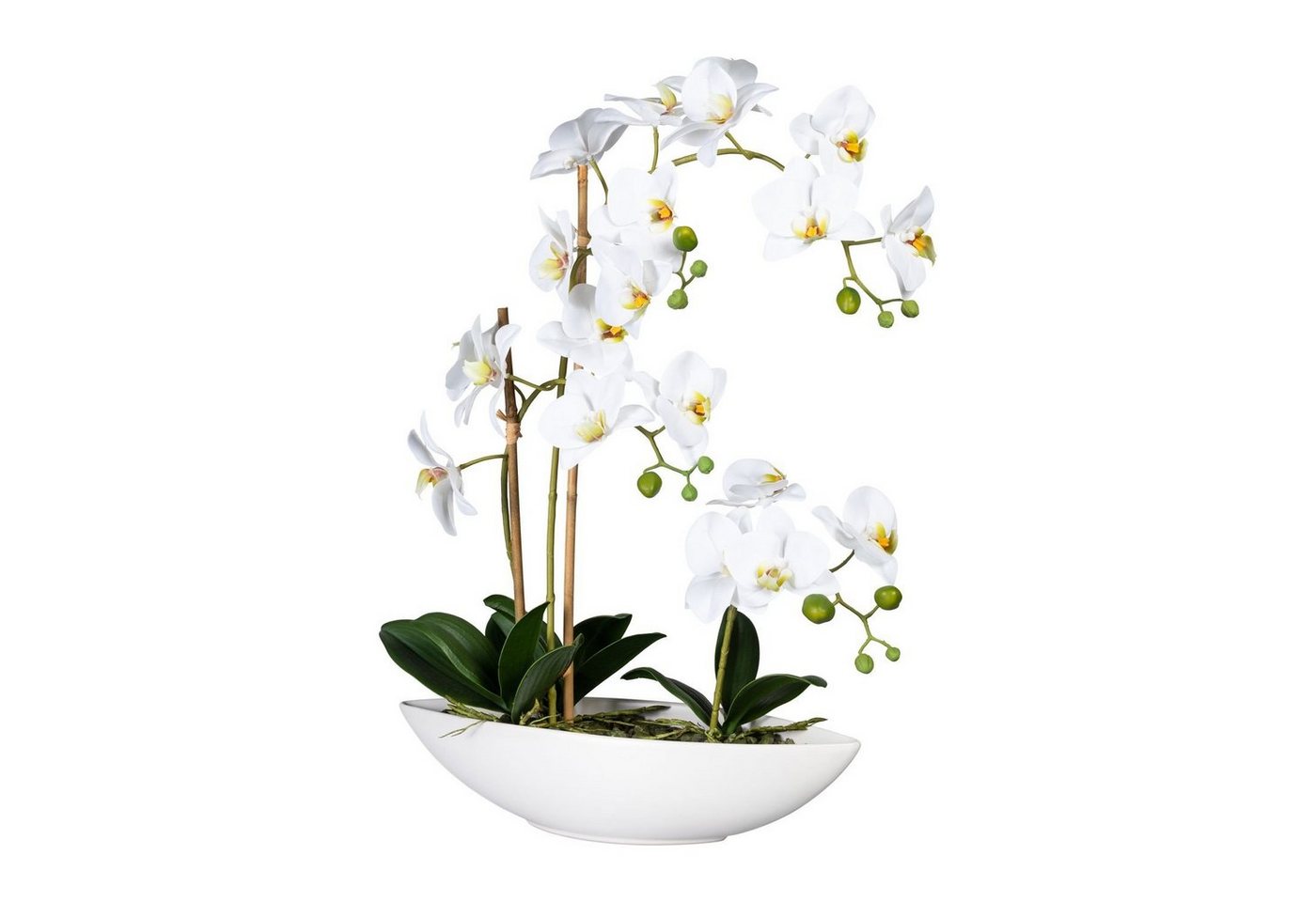 Kunstpflanze Künstliche Orchidee im weißen Keramikschiff 60cm in versch. Farben, Fuchs Versand 24/7 von Fuchs Versand 24/7