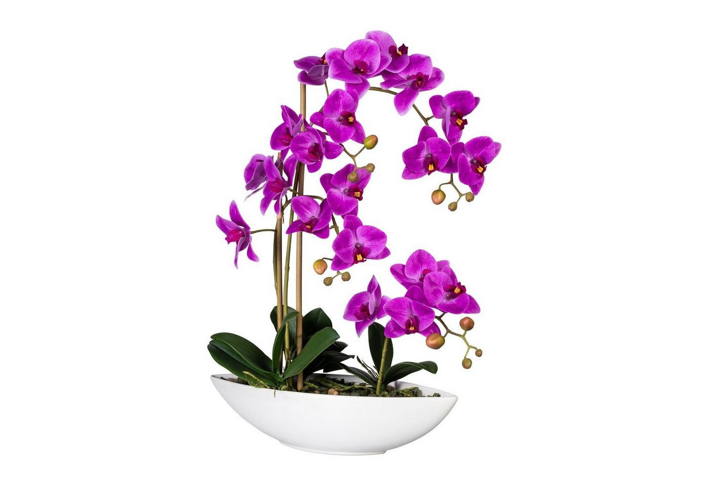 Kunstpflanze Künstliche Orchidee im weißen Keramikschiff 60cm in versch. Farben, Fuchs Versand 24/7 Kunstpflanze Künstliche Orchidee im weißen Keramikschiff 60cm in versch. Farben, Fuchs Versand 24/7 von Fuchs Versand 24/7