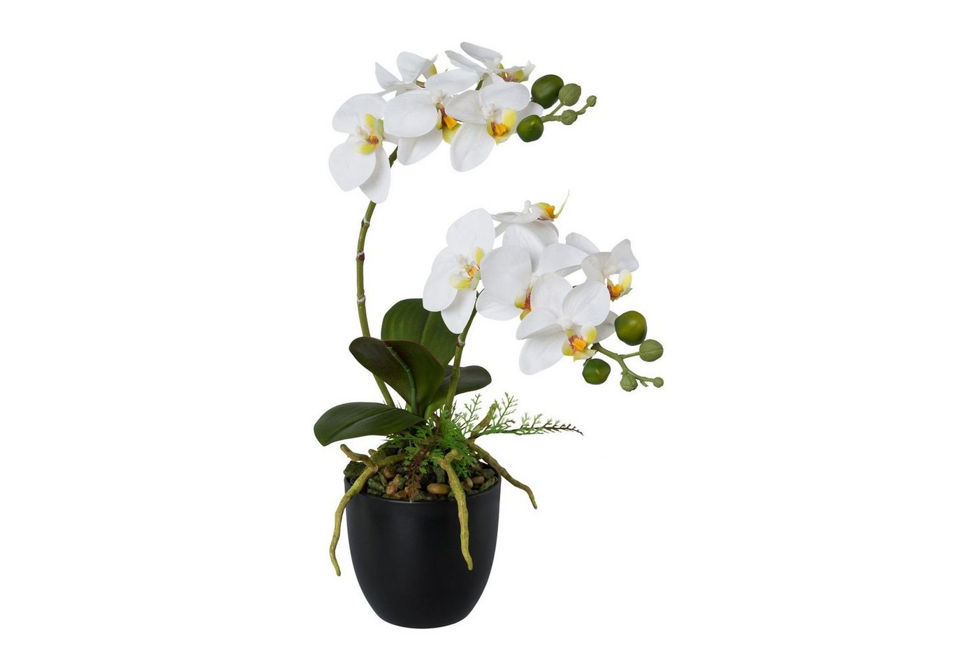 Kunstpflanze Künstliche Orchideen im Topf 42 cm versch. Farben, Fuchs Versand 24/7 von Fuchs Versand 24/7