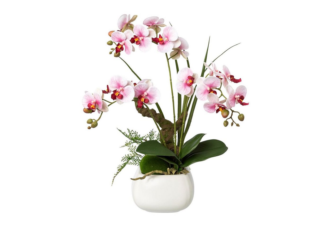 Kunstpflanze Künstliche Phalaenopsis im weißen Keramiktopf 46cm in 2 versch. Farben, Fuchs Versand 24/7 Kunstpflanze Künstliche Phalaenopsis im weißen Keramiktopf 46cm in 2 versch. Farben, Fuchs Versand 24/7 von Fuchs Versand 24/7