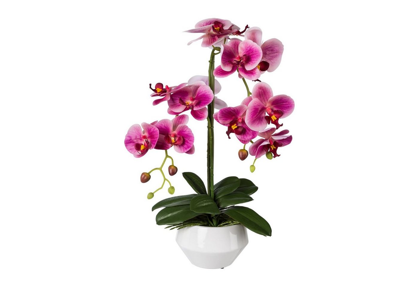 Kunstpflanze Künstliche Phalaenopsis im weißen Keramiktopf 52 cm in versch. Farben, Fuchs Versand 24/7 von Fuchs Versand 24/7
