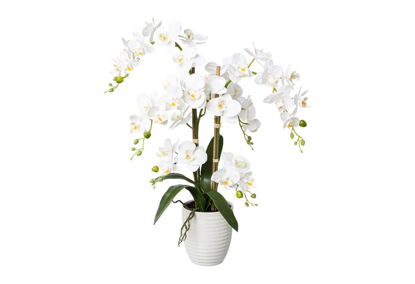 Kunstpflanze Künstliche Phalaenopsis in weißem Kermaiktopf 67cm in 2 versch. Farben, Fuchs Versand 24/7 von Fuchs Versand 24/7