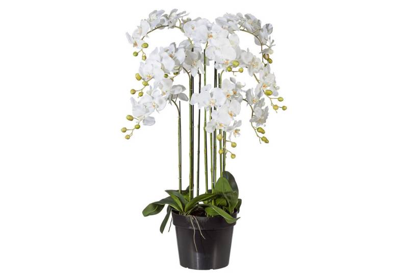 Kunstpflanze Künstliche weiße Phalaenopsis im Topf 110 cm, Fuchs Versand 24/7 von Fuchs Versand 24/7