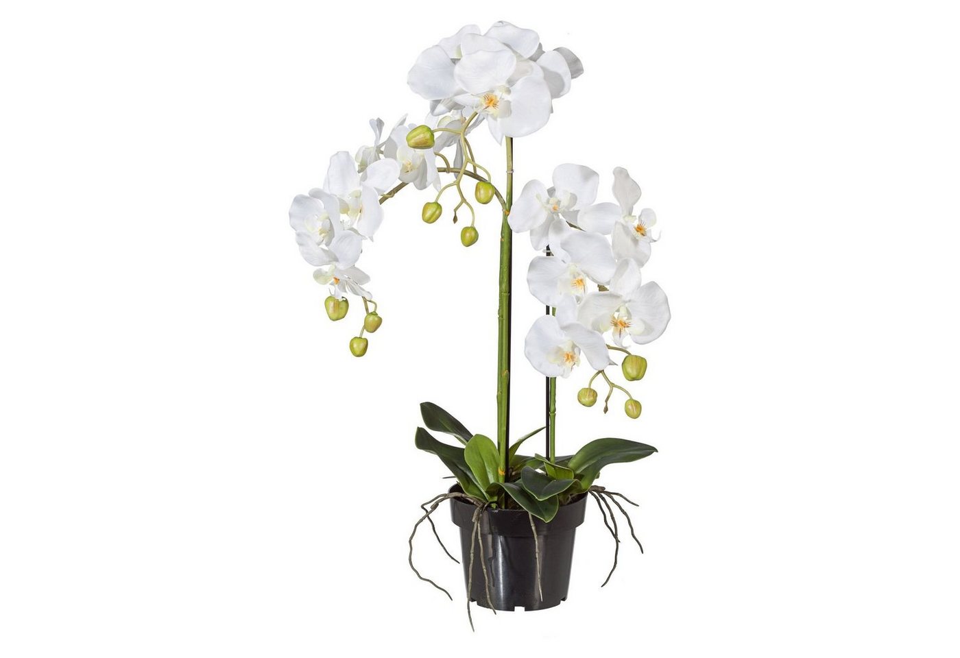 Kunstpflanze Künstliche weiße Phalaenopsis im Topf 62 cm, Fuchs Versand 24/7 von Fuchs Versand 24/7
