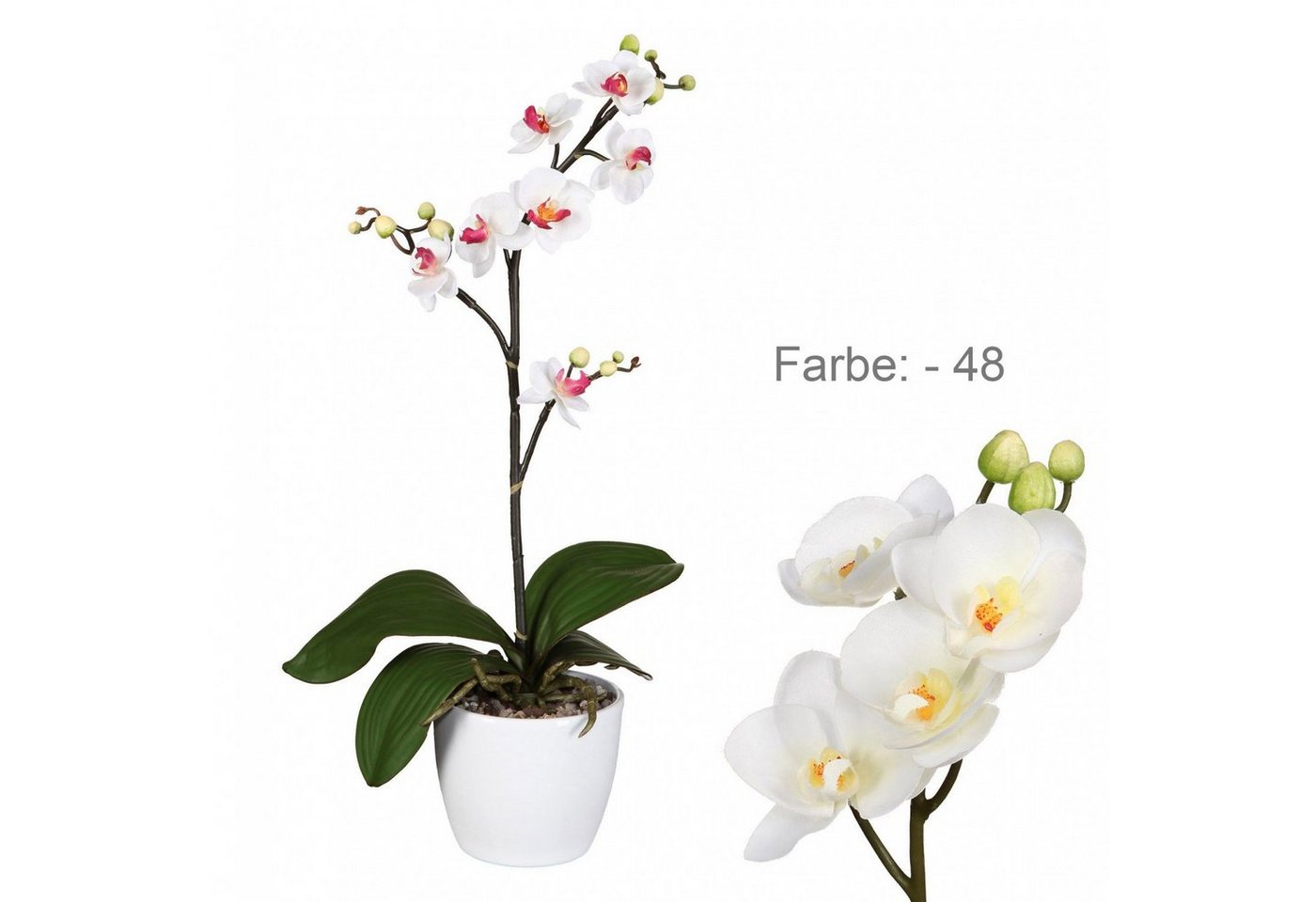 Kunstpflanze Künstlicher Phalaenopsis Cassandra 50 cm Creme, Fuchs Versand 24/7 von Fuchs Versand 24/7