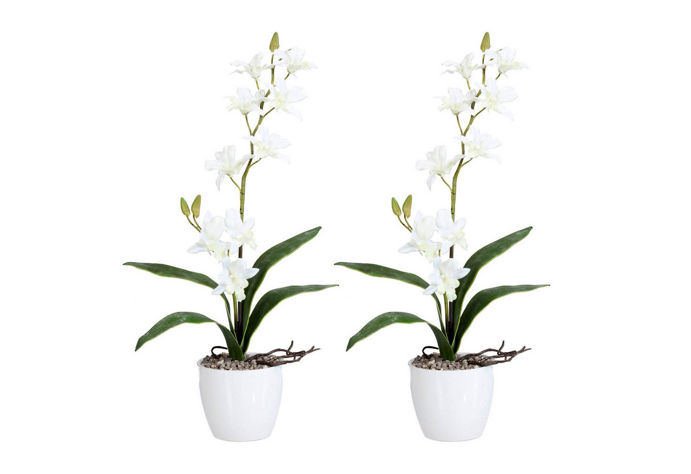 Kunstpflanze 2er Set Orchidee Dendrobie 60cm, weiß, im Keramiktopf weiß, Fuchs Versand 24/7 Kunstpflanze 2er Set Orchidee Dendrobie 60cm, weiß, im Keramiktopf weiß, Fuchs Versand 24/7 von Fuchs Versand 24/7