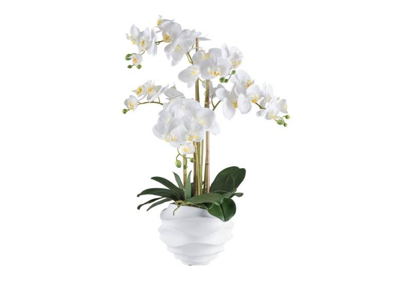 Kunstpflanze Phalaenopsis 70cm weiß, im Kunststofftopf 21x17cm weiß Real Touch, Fuchs Versand 24/7 von Fuchs Versand 24/7