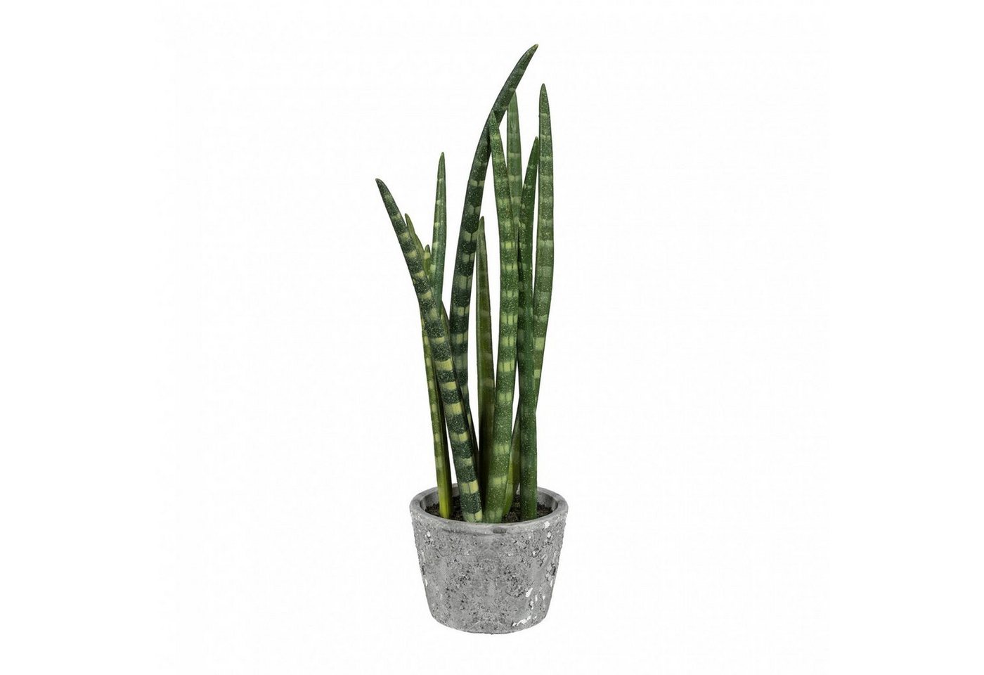 Kunstpflanze Sanseveria Kunstpflanze 45 cm im Zementtopf 12 x 9 cm, Fuchs Versand 24/7 von Fuchs Versand 24/7