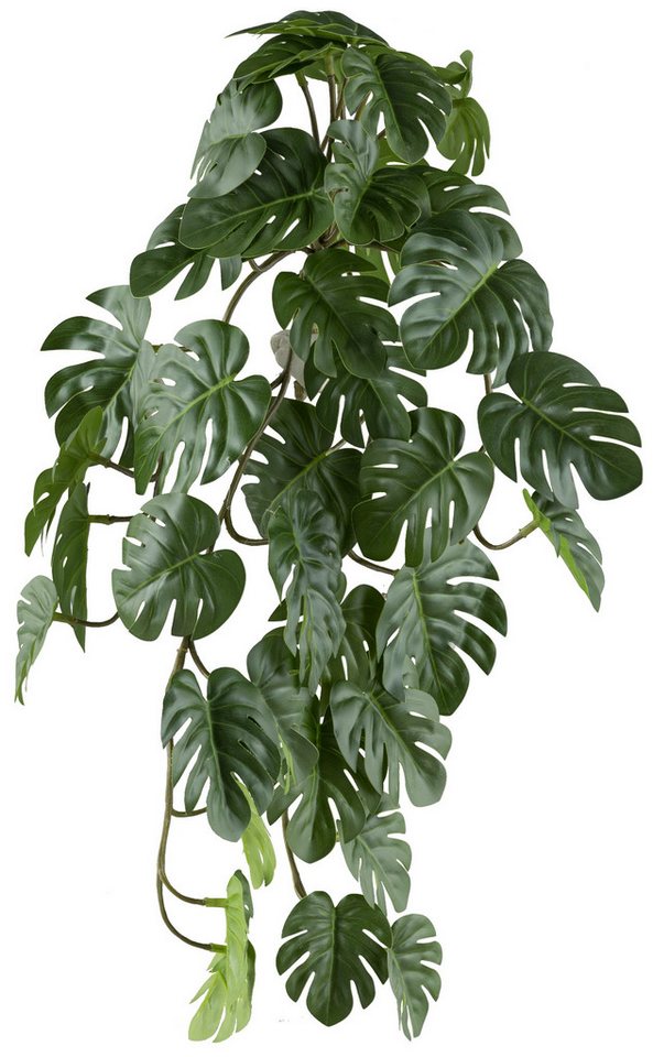 Kunstranke 2er Set Splitphilodendron Hänger 38 Bl., 48cm grün Kunstpflanze, Fuchs Versand 24/7 von Fuchs Versand 24/7