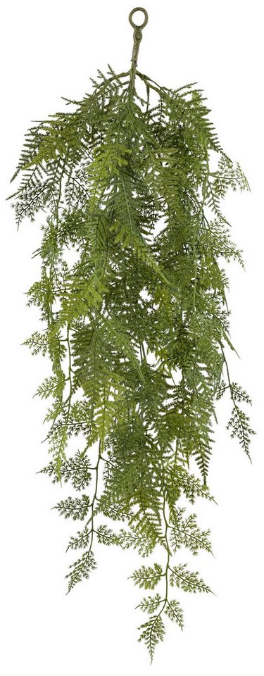 Kunstranke Asparagus setaceus Hänger ca 90cm grün Kunstpflanze, Fuchs Versand 24/7 Kunstranke Asparagus setaceus Hänger ca 90cm grün Kunstpflanze, Fuchs Versand 24/7 von Fuchs Versand 24/7