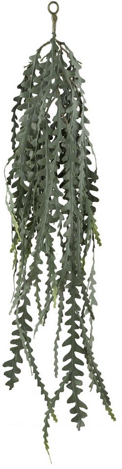 Kunstranke 2er Set Epiphyllum anguliger Hänger ca 100cm grüngrau Kunstpflanze, Fuchs Versand 24/7 Kunstranke 2er Set Epiphyllum anguliger Hänger ca 100cm grüngrau Kunstpflanze, Fuchs Versand 24/7 von Fuchs Versand 24/7