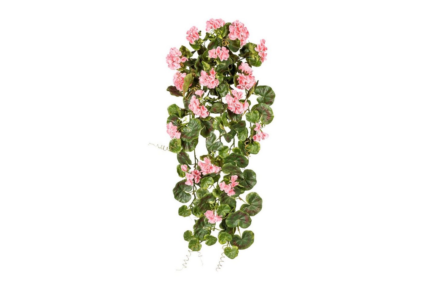 Kunstranke Künstlicher Geranienhänger UV beständig ca 80 cm in versch. Farben, Fuchs Versand 24/7 Kunstranke Künstlicher Geranienhänger UV beständig ca 80 cm in versch. Farben, Fuchs Versand 24/7 von Fuchs Versand 24/7