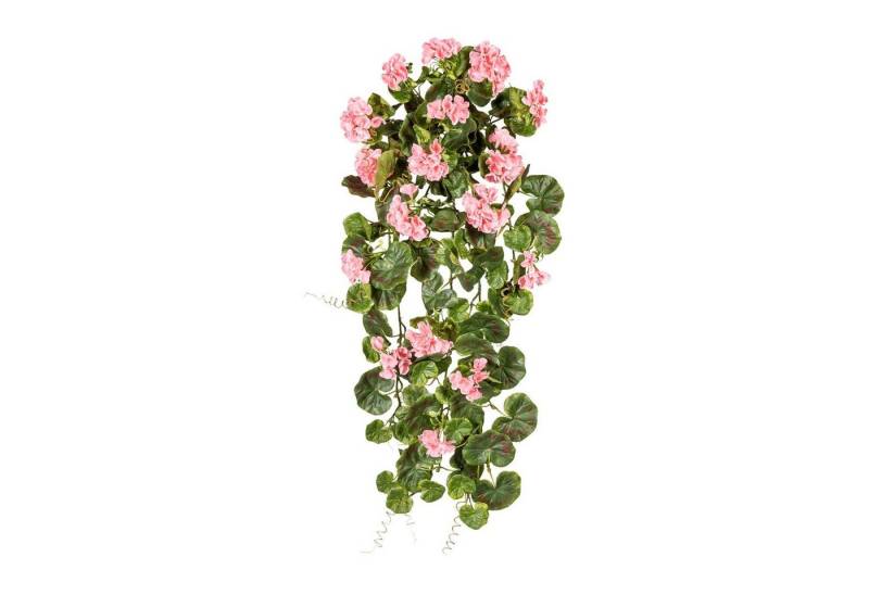 Kunstranke Künstlicher Geranienhänger UV beständig ca 80 cm in versch. Farben, Fuchs Versand 24/7 Kunstranke Künstlicher Geranienhänger UV beständig ca 80 cm in versch. Farben, Fuchs Versand 24/7 von Fuchs Versand 24/7