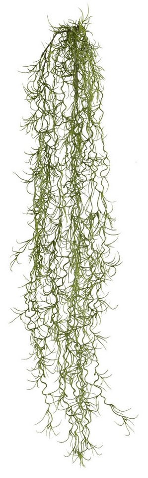 Kunstranke 3er Set Tillandsienhängezweig 80cm Kunststoff, dunkelgrün Kunstpflanze, Fuchs Versand 24/7 Kunstranke 3er Set Tillandsienhängezweig 80cm Kunststoff, dunkelgrün Kunstpflanze, Fuchs Versand 24/7 von Fuchs Versand 24/7