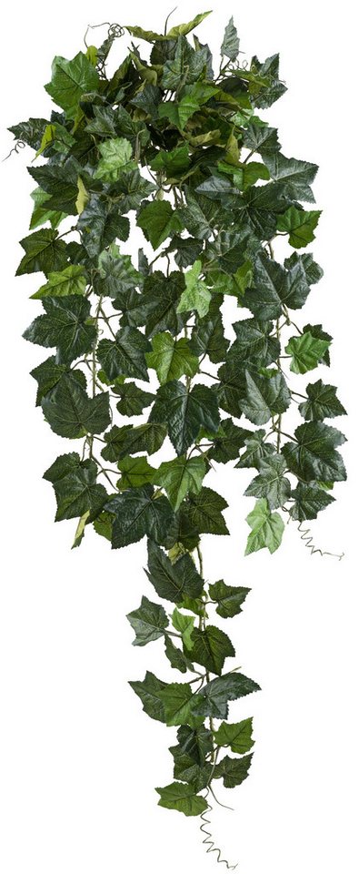 Kunstranke Weinlaubhänger 68cm grün, UV-best. und schwer entflammbar Kunstpflanze, Fuchs Versand 24/7 Kunstranke Weinlaubhänger 68cm grün, UV-best. und schwer entflammbar Kunstpflanze, Fuchs Versand 24/7 von Fuchs Versand 24/7